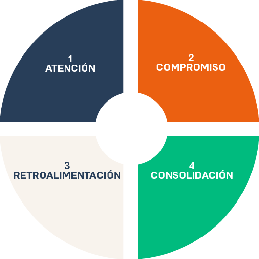 Esquema que muestra los 4 pilares del aprendizaje: 1 atención, 2 compromiso, 3 retroalimentación, 4 consolidación
